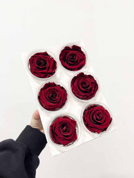 AGLAIA » Box da 6 fiori di Rosa rosso scuro diametro 6,5cm standard
