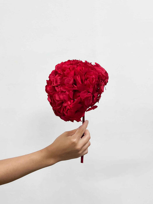 HYDRANGEA » standard preserved red - AGOSTINA
