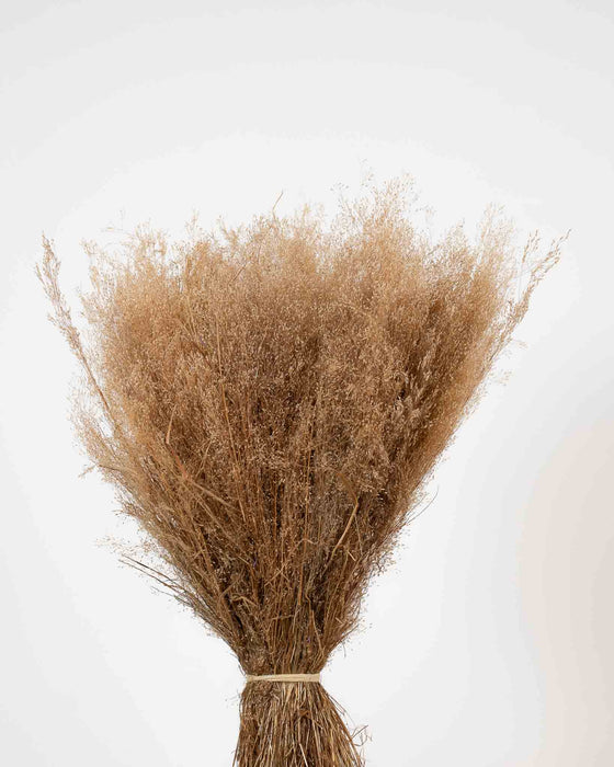 ICARO » Mazzo di Agrostis naturale