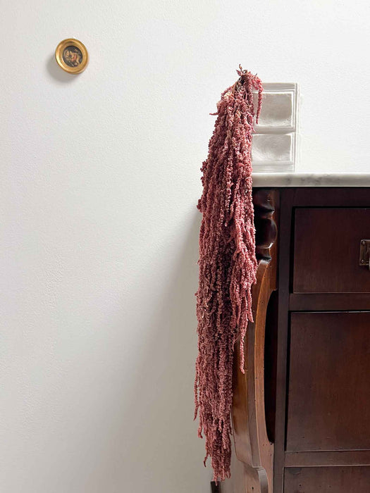 AMARANTHUS » light yellow green preserved - OLIVIERO