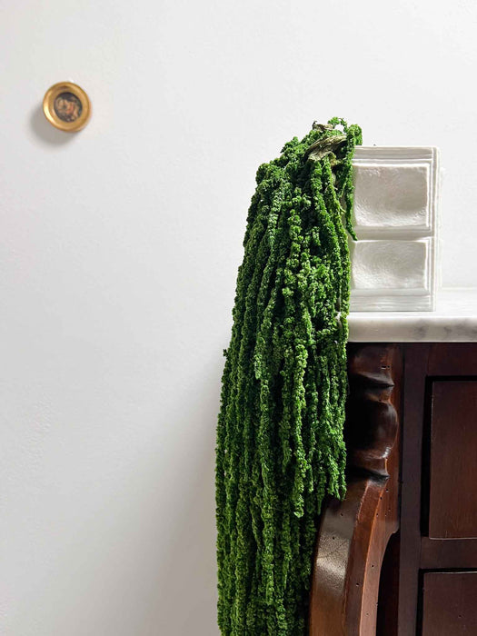 ODOACRE » Amaranthus ricadente stabilizzato verde scuro