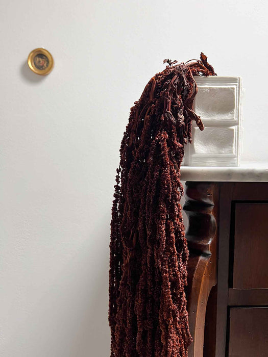 DEMETRIO » Amaranthus ricadente stabilizzato marrone