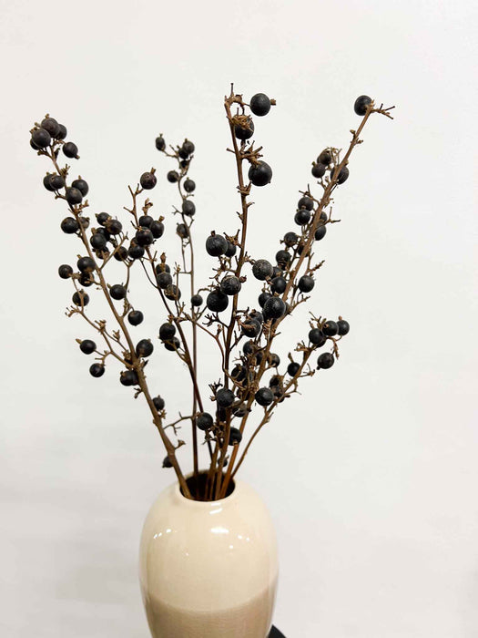 ANIELLO » Mazzo di bacche naturale Black Berry