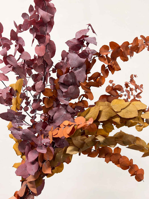 ZARA » Mazzo di Eucalipto Stuartiana stabilizzato dai colori autunnali