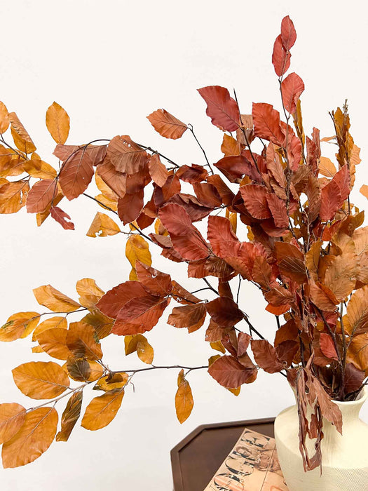 FABIO » Mazzo di Faggio stabilizzato dai colori autunnali