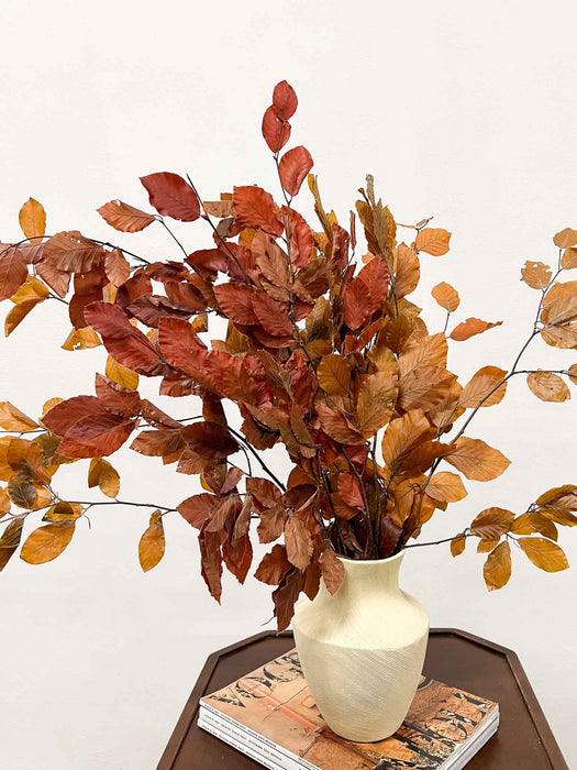 FABIO » Mazzo di Faggio stabilizzato dai colori autunnali