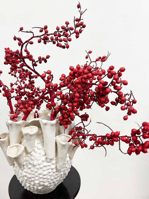 AURA » Fascio di bacche rosse naturali essiccate