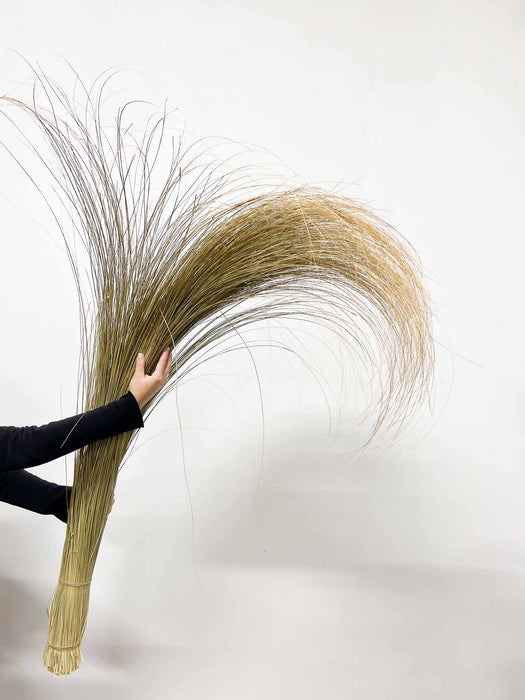 OLENA » Mazzo di Salicchio essiccato grande