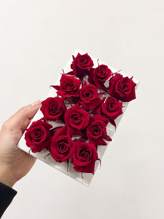 CECILIA » Box da 12 mini fiori di Rosa rosso scuro diametro 3cm