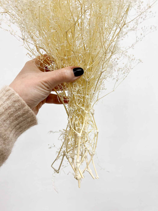 CHIARA » Mazzo di Gypsophila stabilizzata mini bianca
