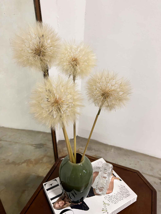 CLORINDA » Set da 4 steli del Frutto del fiore del Tragopogon o "soffione"