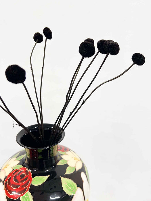 ZORRO » Mazzo di Craspedia nero 10 steli