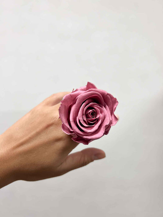 ROSE » BOX WITH 6 ROSE FLOWERS STANDARD DIAMETER 6.5 CM ANTIQUE PINK - DOLORES