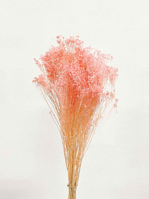 BROOM BLOOM » pink - EMMA