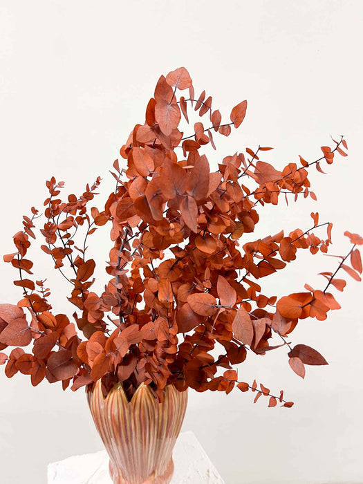 VERDIANA » Mazzo di Eucalipto Stuartiana stabilizzato arancione scuro