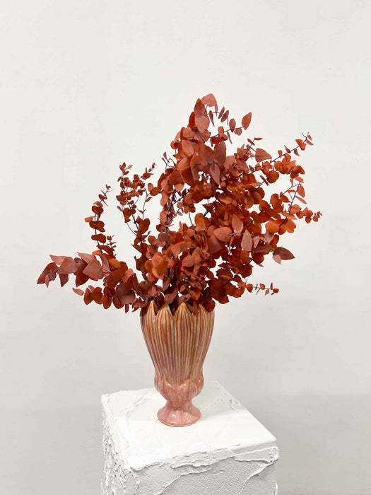 VERDIANA » Mazzo di Eucalipto Stuartiana stabilizzato arancione scuro