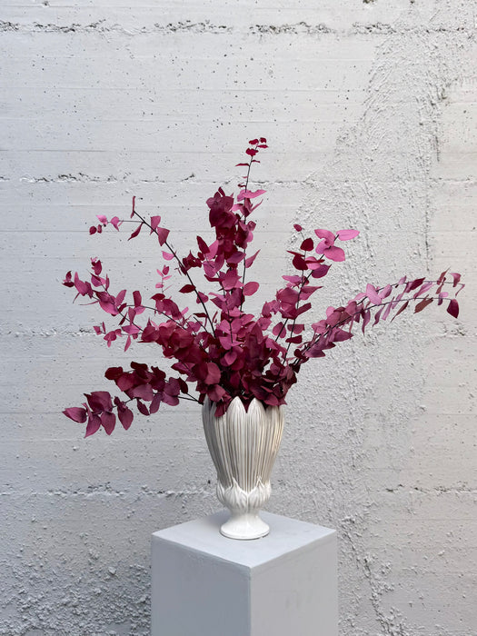 EUCALYPTUS STUARTIANA » fuchsia preserved