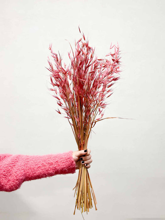 EVA » Mazzo di Avena selvatica rosa antico