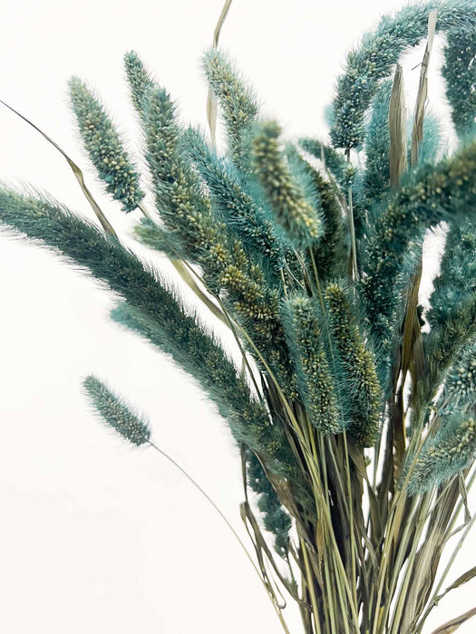 EVELINA » Mazzo di Setaria carta da zucchero