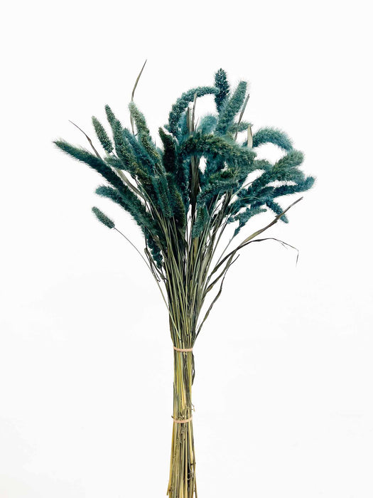 EVELINA » Mazzo di Setaria carta da zucchero