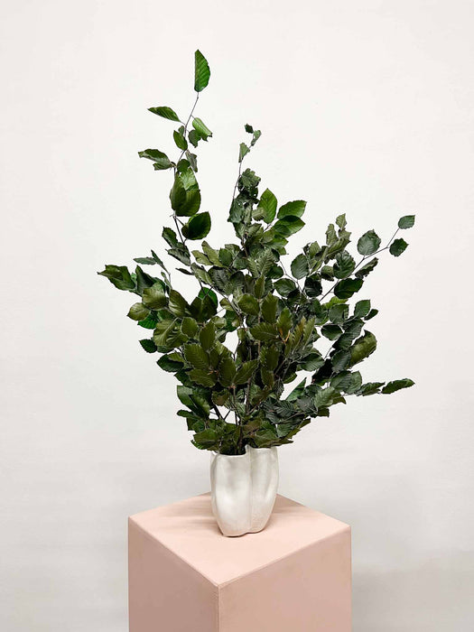 LISANDRO » Vaso bianco irregolare