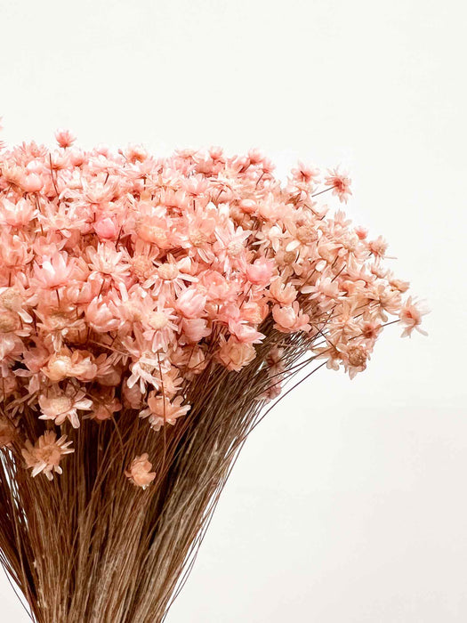 GABRIELLA » Mazzo di fiori di Glixia mini rosa chiaro