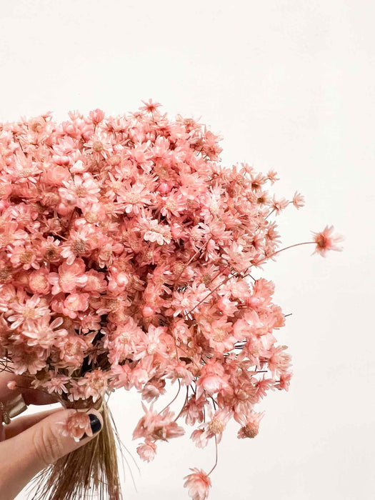 GABRIELLA » Mazzo di fiori di Glixia mini rosa chiaro