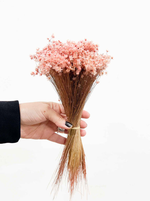MINI GLIXIA » pink - GABRIELLA