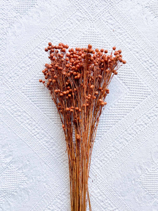 GLENDA » Mazzo per bouquet di fiori secchi arancio