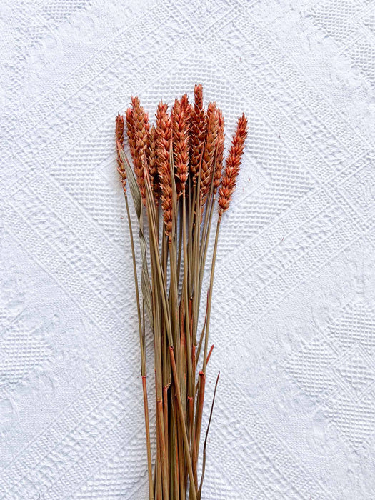 GLENDA » Mazzo per bouquet di fiori secchi arancio