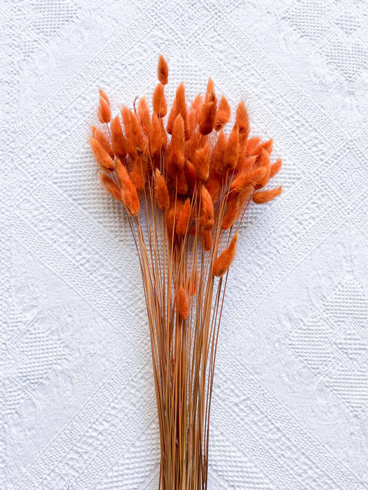 GLENDA » Mazzo per bouquet di fiori secchi arancio