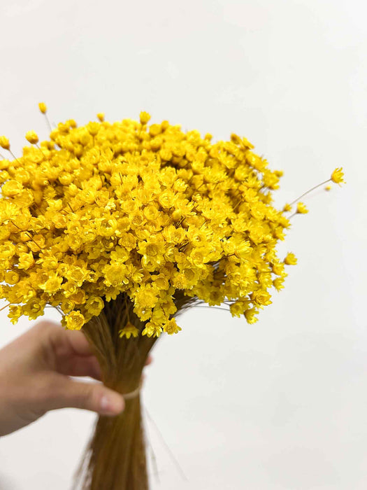 MAGGIE » Mazzo di fiori di Glixia giallo