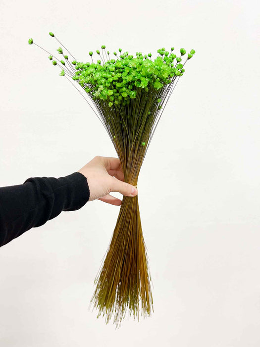 GLIXIA » green - LICIA