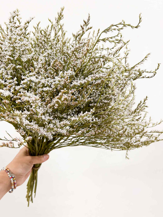 GOFFREDO » Tartarica naturale essiccata