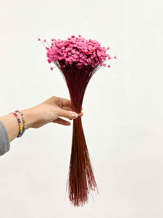 GRETA » Mazzo di fiori di Glixia fucsia