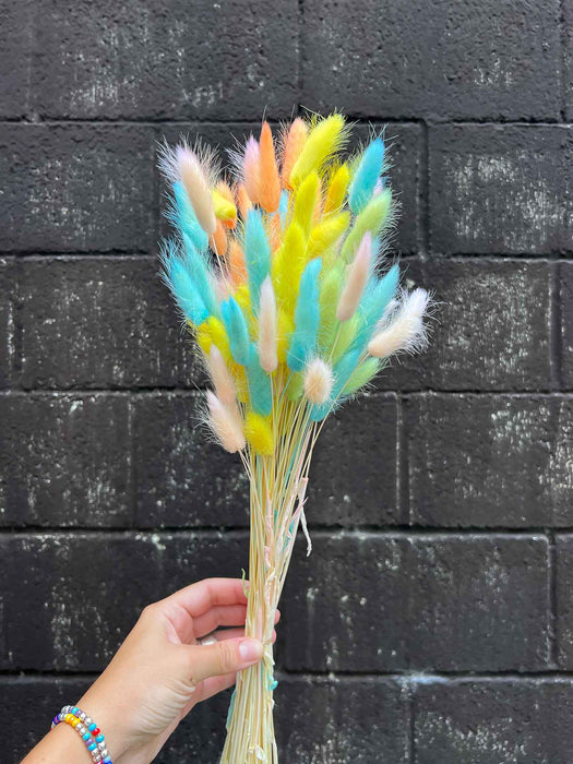 ROMINA » Mazzo di Lagurus multicolor colori pastello