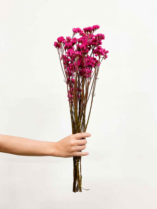 MARIVANDA » Statice stabilizzato fucsia