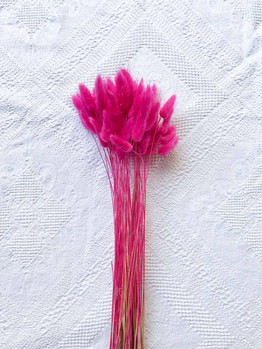 EGLE » Mazzo per bouquet di fiori secchi fucsia