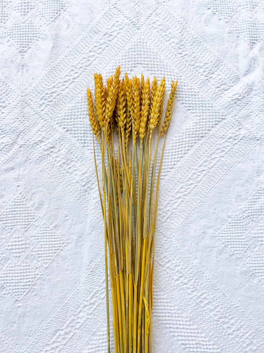 GERONIMO » Mazzo per bouquet di fiori secchi giallo senape