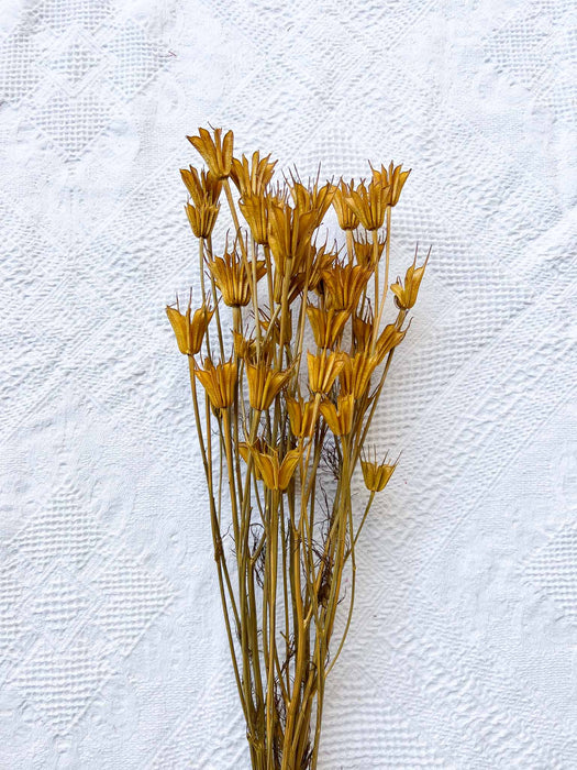 GERONIMO » Mazzo per bouquet di fiori secchi giallo senape