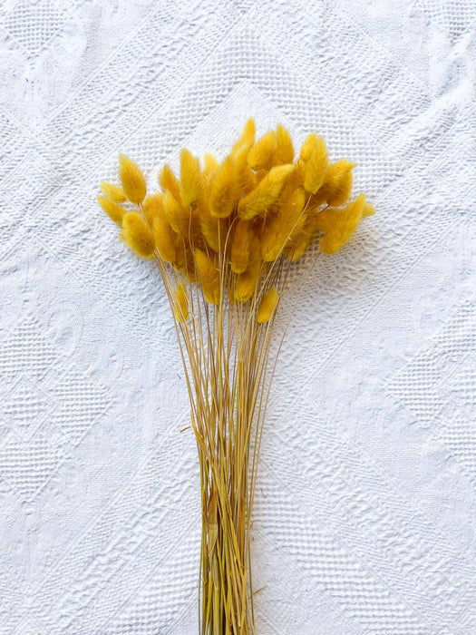 GERONIMO » Mazzo per bouquet di fiori secchi giallo senape