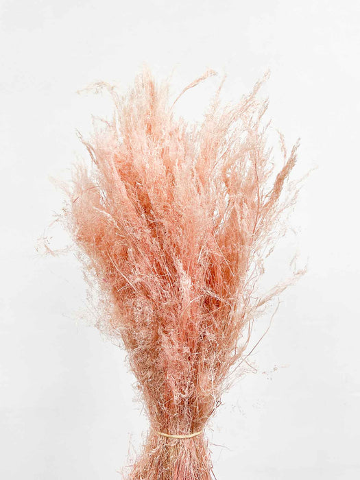 MILENA » Mazzo di Agrostis rosa chiaro