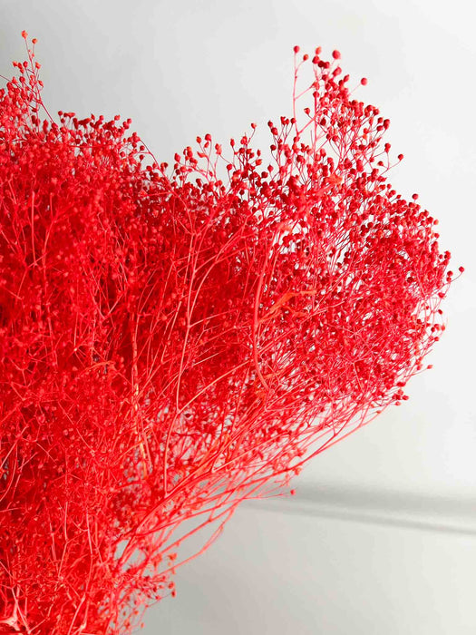 NATALIA » Red preserved Mini Gypsophila bouquet