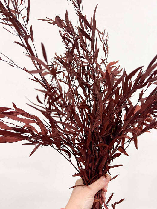 NICOLETTA » Eucalipto Nicoli stabilizzato rosso