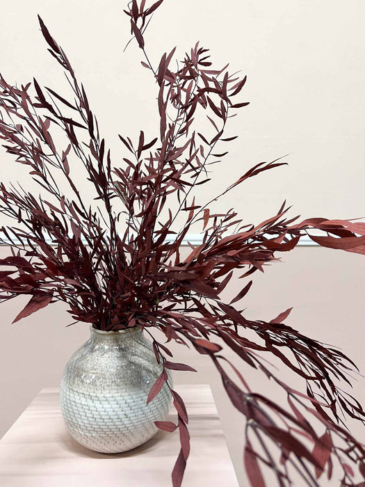 NICOLETTA » Eucalipto Nicoli stabilizzato rosso