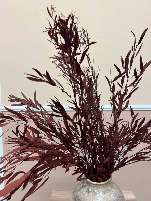 EUCALYPTUS NICOLI » preserved red - NICOLETTA