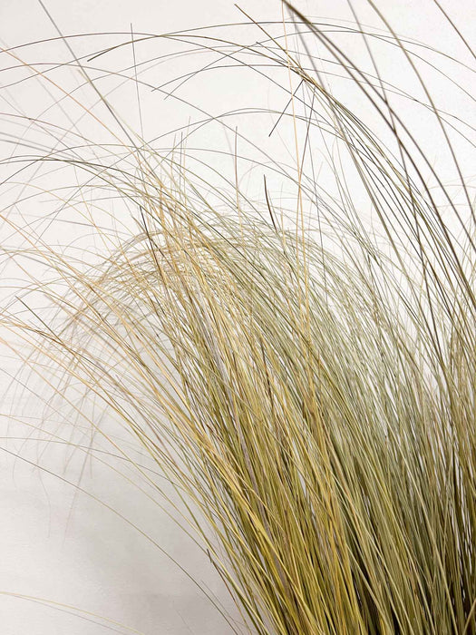 OLENA » Mazzo di Salicchio essiccato grande