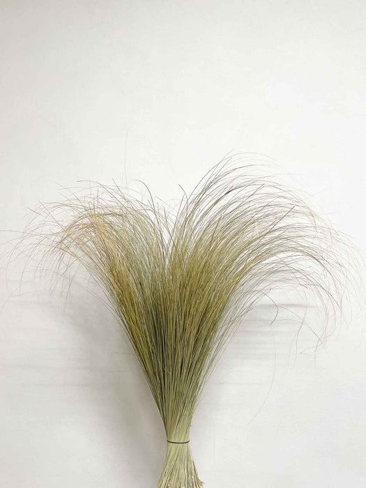 OLENA » Mazzo di Salicchio essiccato grande