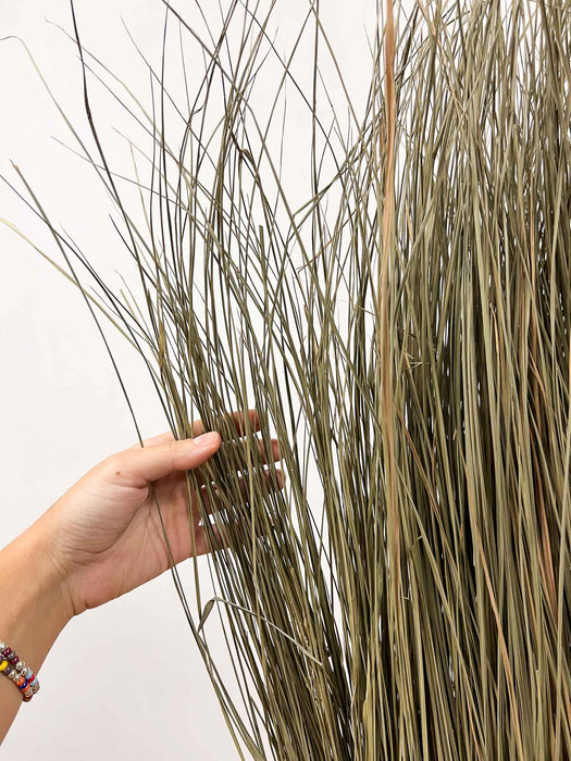 CALLIOPE  » Parete verticale di erba naturale essiccata 100 cm