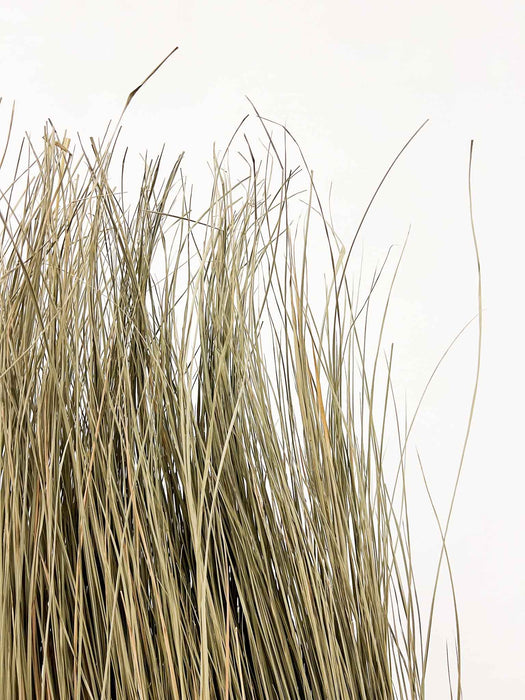 CALLIOPE  » Parete verticale di erba naturale essiccata 100 cm